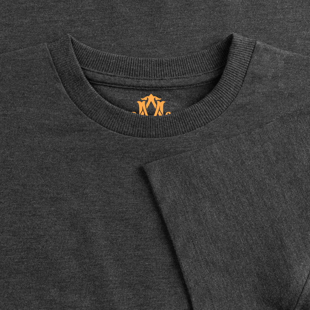 adligemotivations Logo Oversized Cropped T-Shirt Premium Woman - heather anthracite
