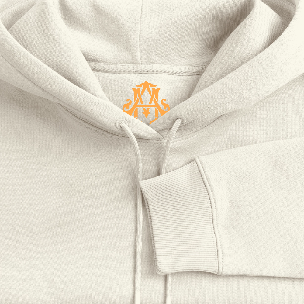 Veni, vidi, vici Premium Hoodie - off white