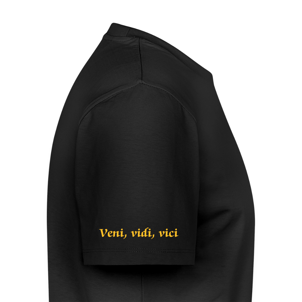 Veni, vidi, vici Premium T-Shirt - black