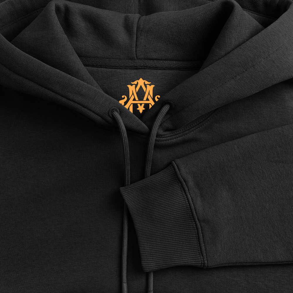 Veni, vidi, vici Premium Hoodie - black