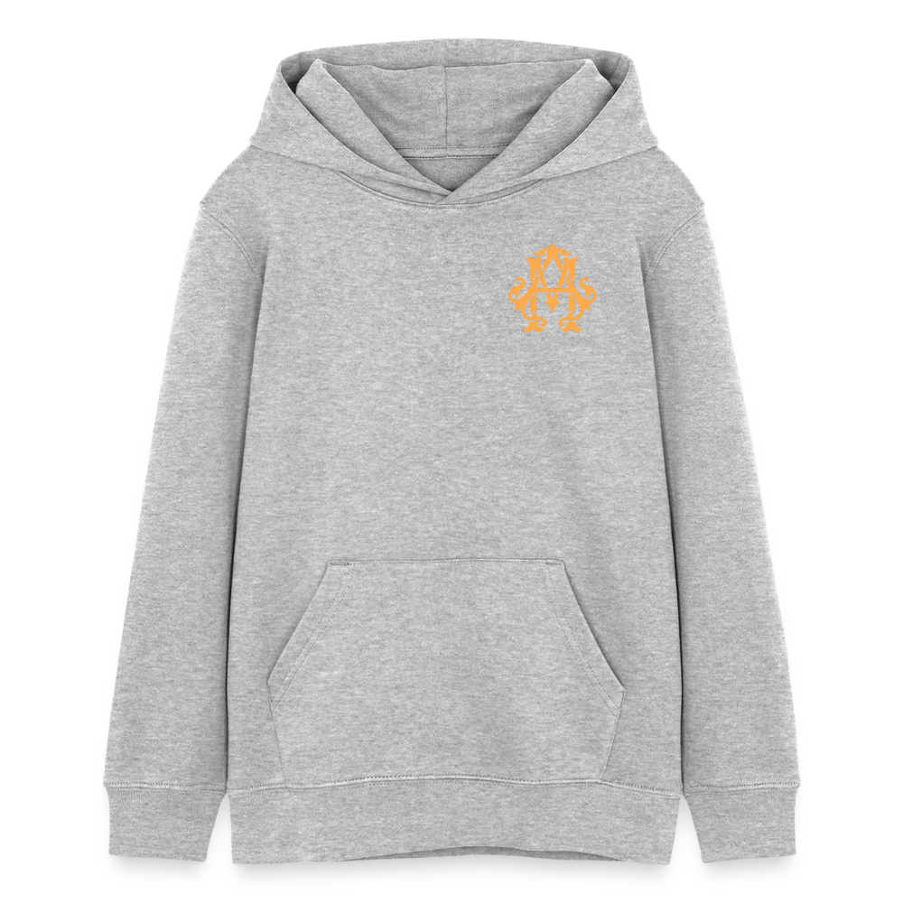 adligemotivation Premium Logo Teenager Hoodie - heather grey