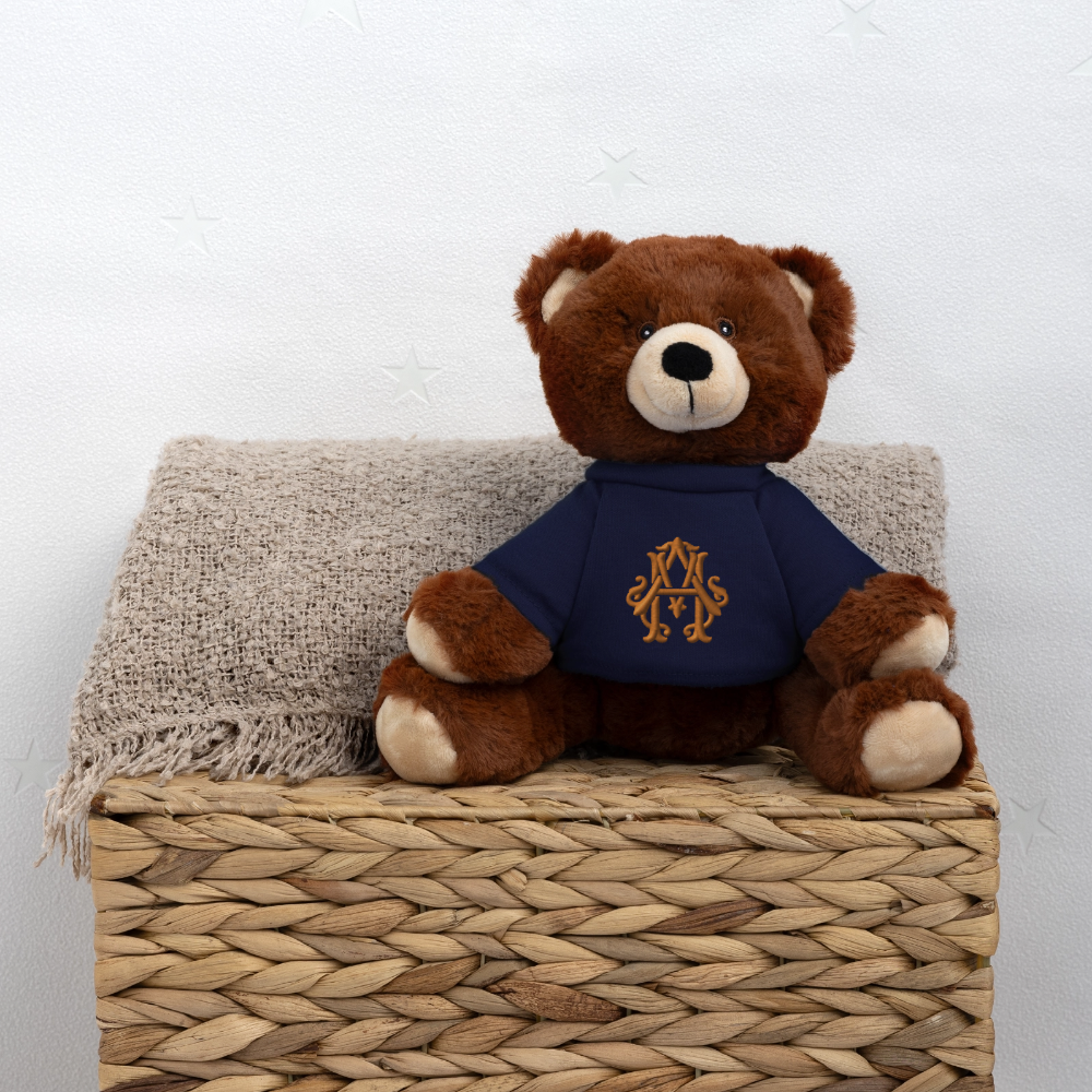 Teddy Bear adligemotivation - french navy