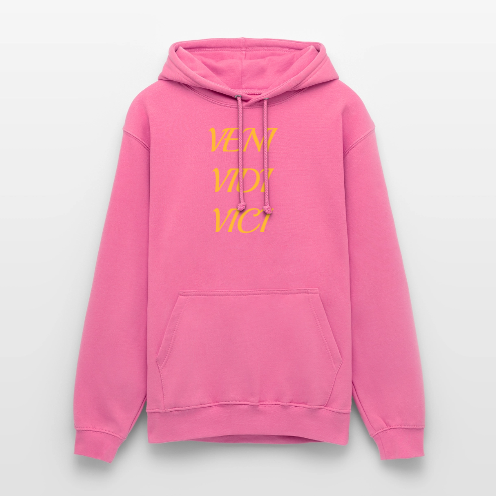 Veni, vidi, vici Hoodie - pink