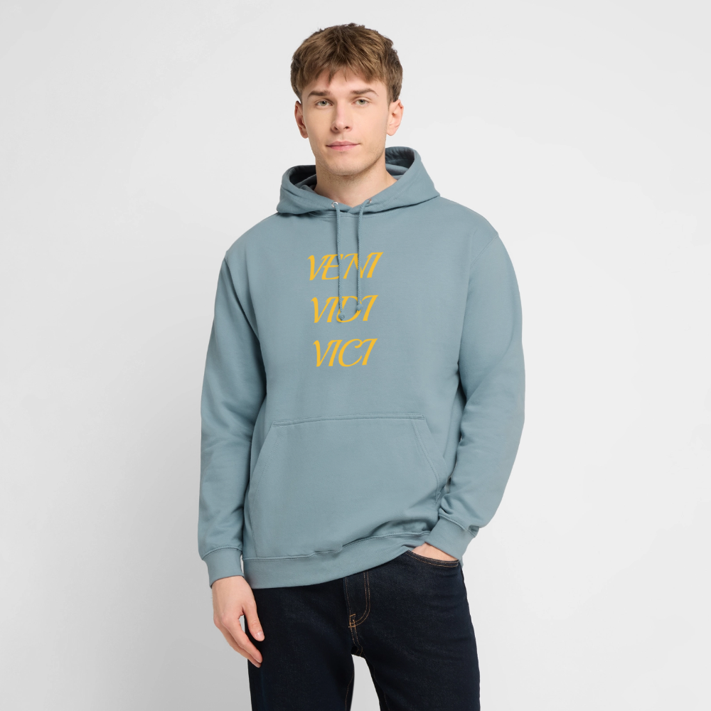 Veni, vidi, vici Hoodie - stonewash blue