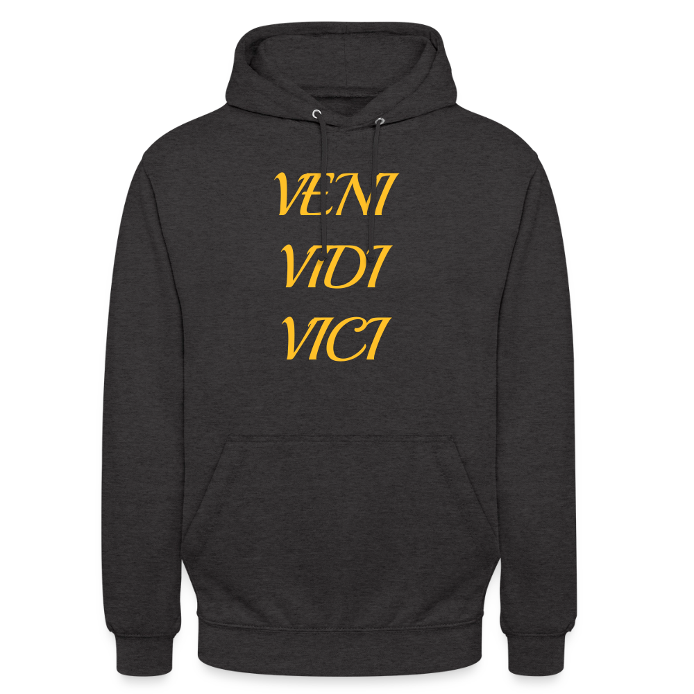 Veni, vidi, vici Hoodie - charcoal grey