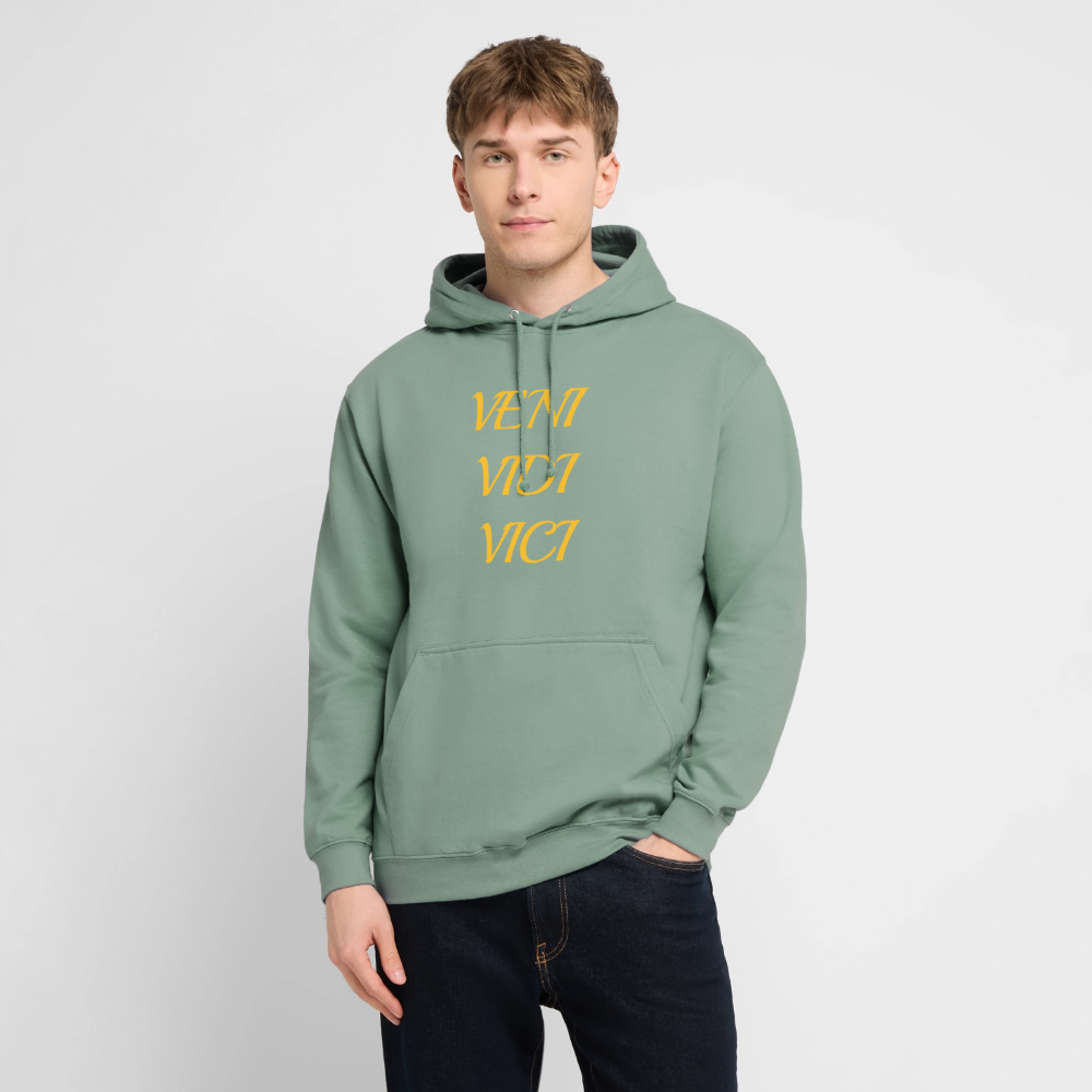 Veni, vidi, vici Hoodie - steel green