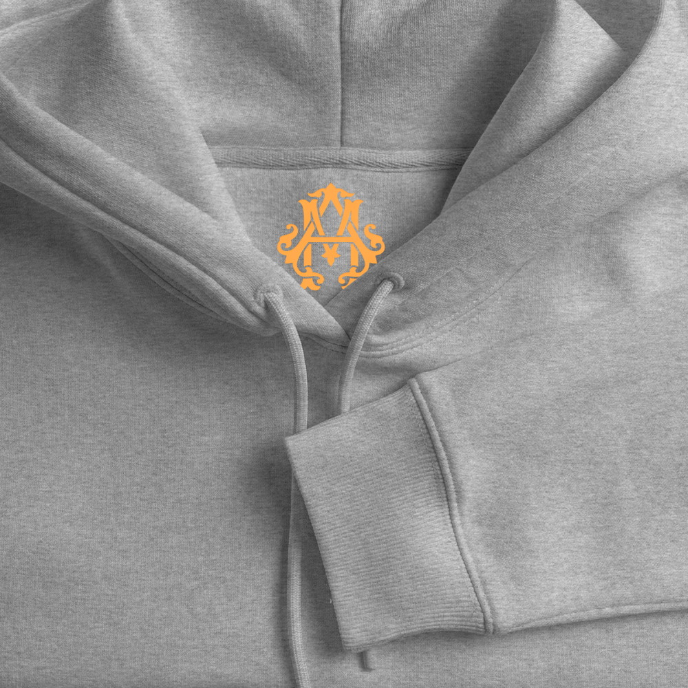 NO PAIN NO GAIN Premium Hoodie - heather grey