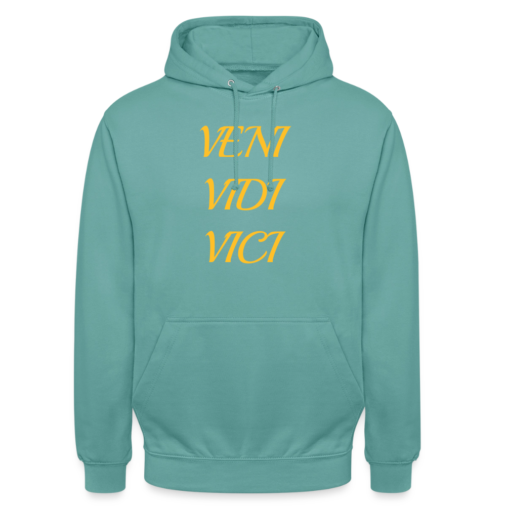 Veni, vidi, vici Hoodie - pastel turquoise