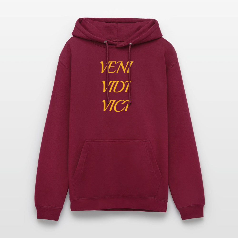 Veni, vidi, vici Hoodie - bordeaux