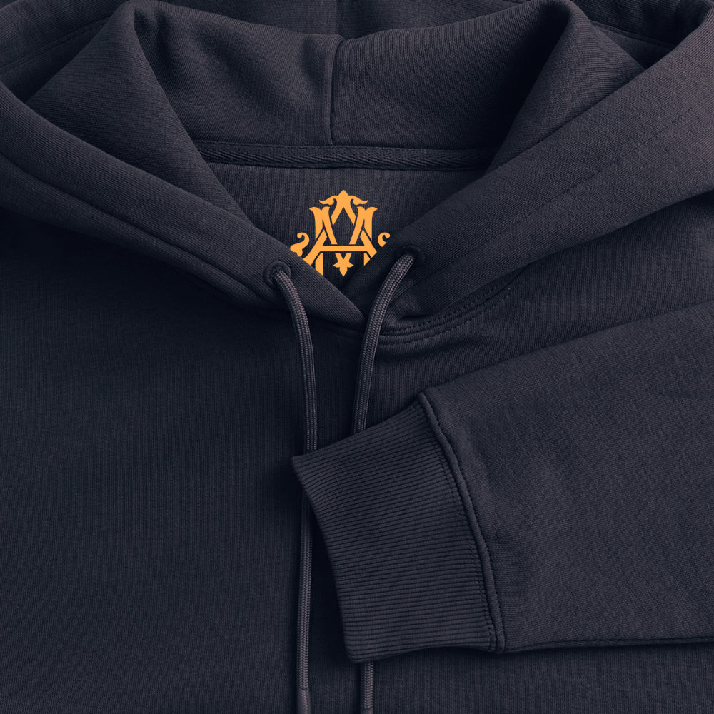 Veni, vidi, vici Premium Hoodie - navy