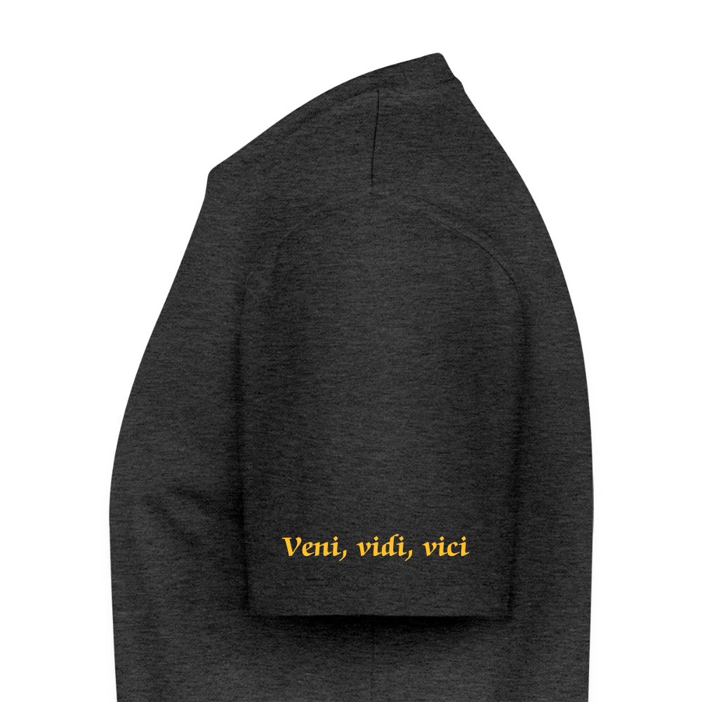 Veni, vidi, vici Premium T-Shirt - heather anthracite