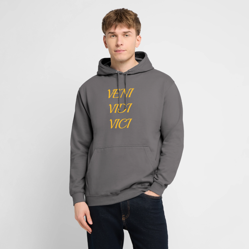 Veni, vidi, vici Hoodie - elephant grey