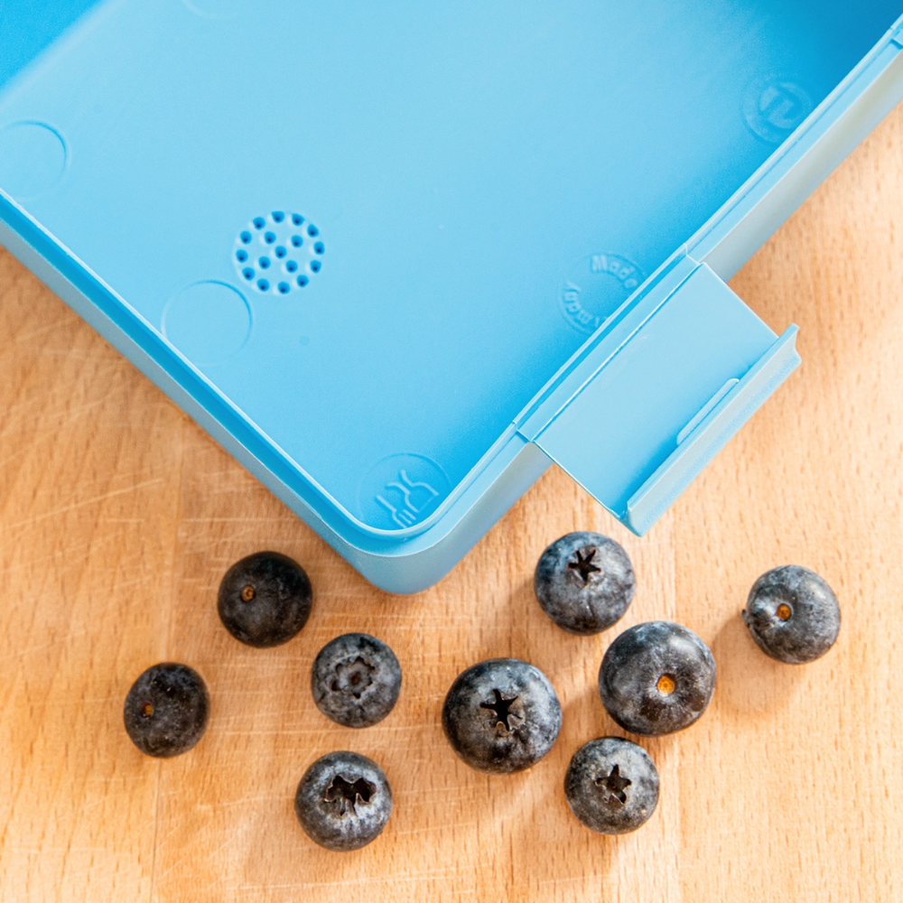 Dinosaurier Brotdose - sapphire blue