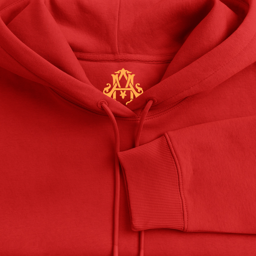 NO PAIN NO GAIN Premium Hoodie - red