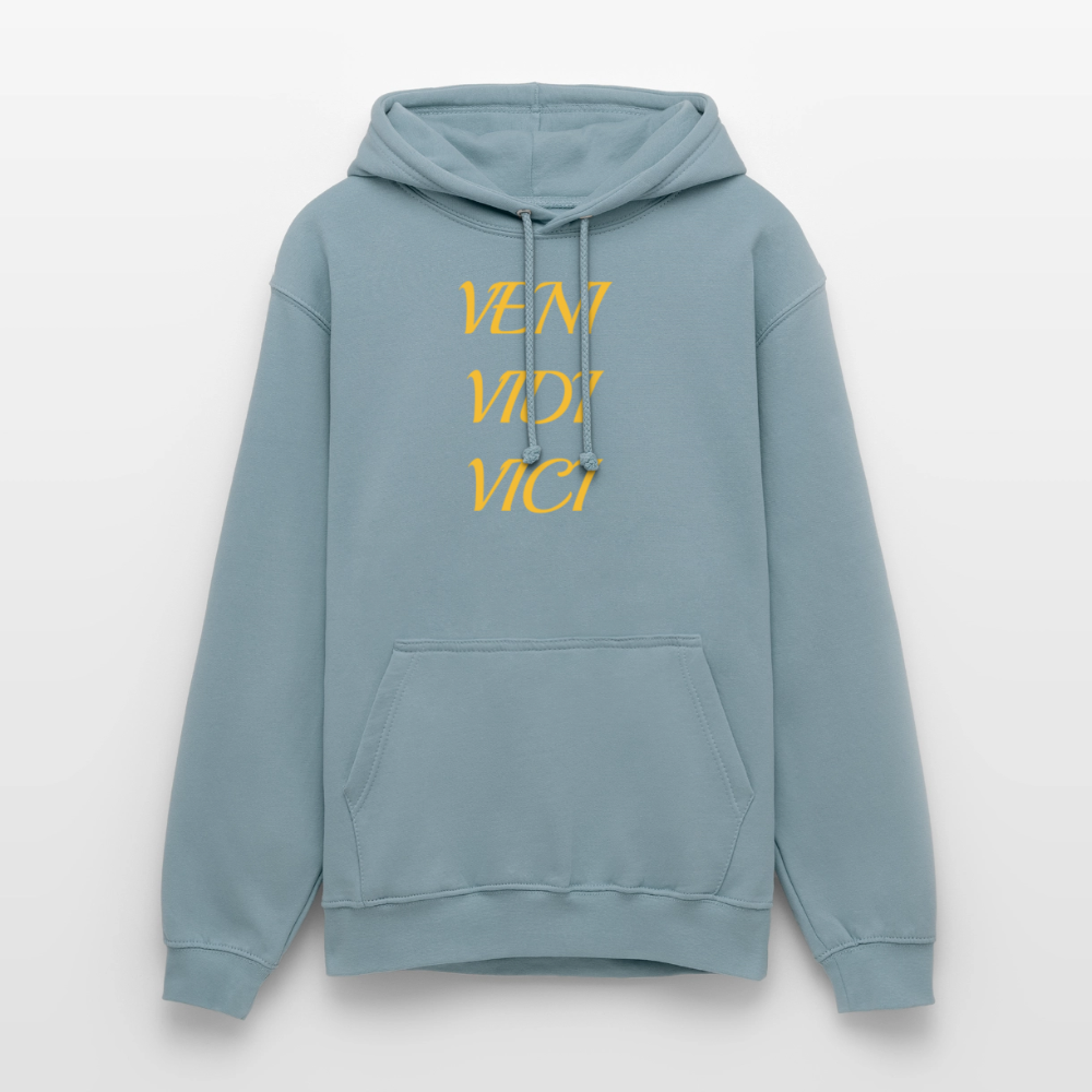 Veni, vidi, vici Hoodie - stonewash blue