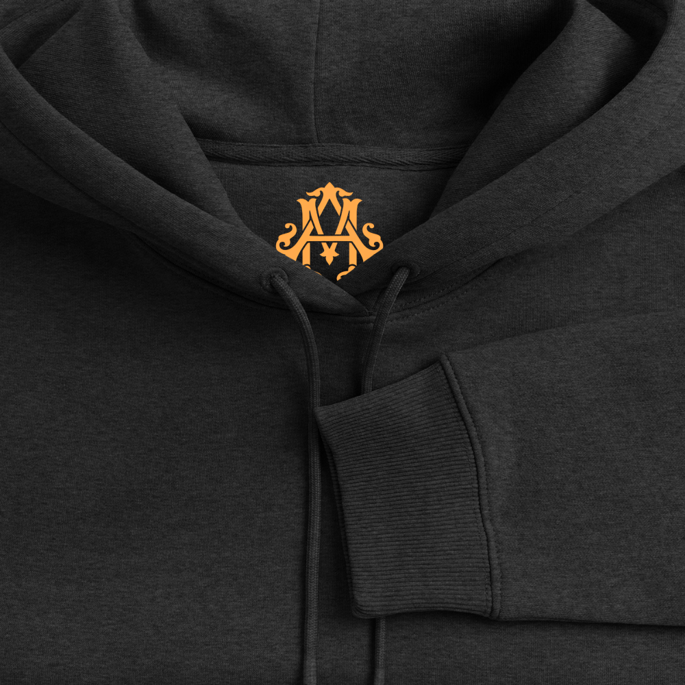 Veni, vidi, vici Premium Hoodie - heather anthracite