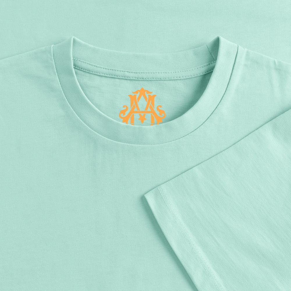 NO PAIN NO GAIN T-Shirt - mint 